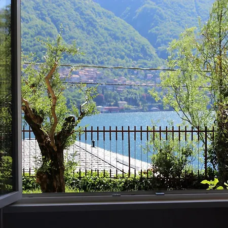 Ulivi 1 Apartment